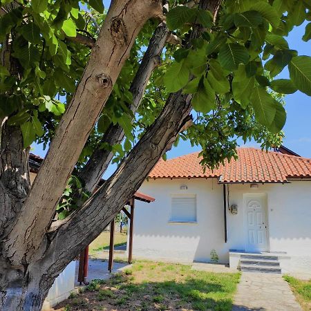 Villa White Clam Vintage House With Sea View & Garden Makrygialos Exterior foto